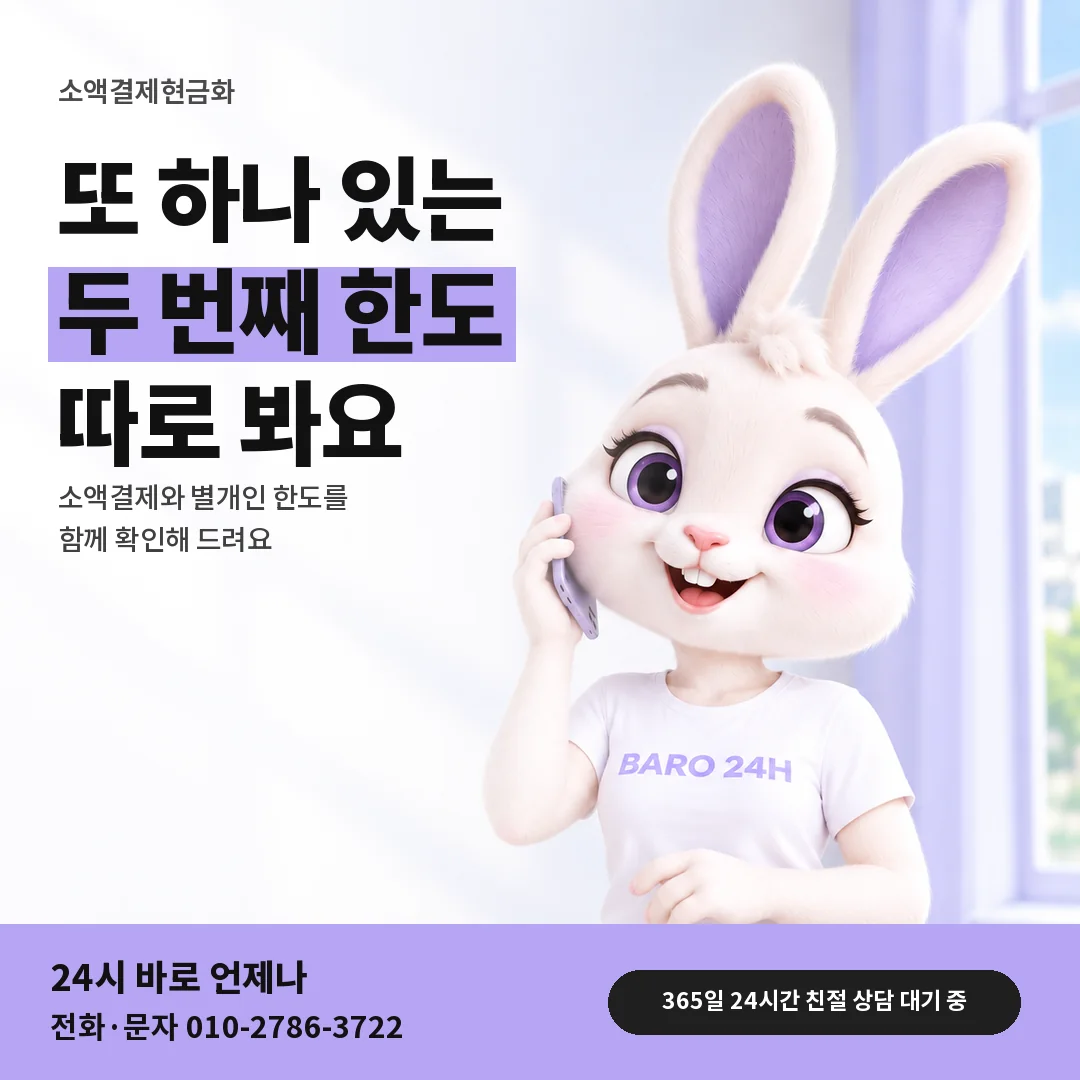 BARO 24H 티셔츠를 입은 3D 토끼 캐릭터 옆에 「소액결제 정보이용료 한도 따로 보기」 제목을 얹은 안내 카드
