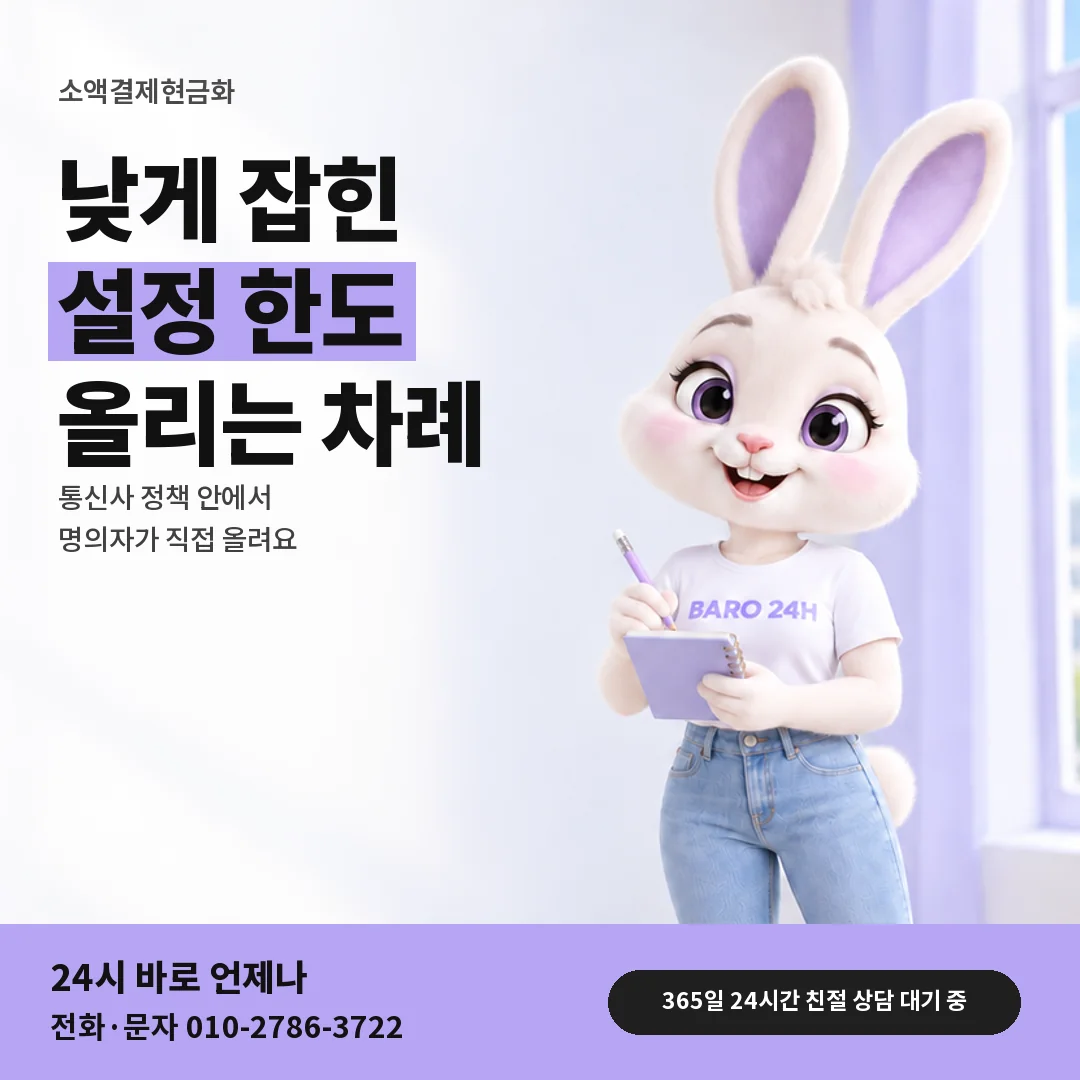 휴대폰을 보며 웃는 BARO 24H 티셔츠를 입은 3D 토끼 캐릭터 옆에 「소액결제 설정 한도 올리기」 제목을 얹은 안내 카드